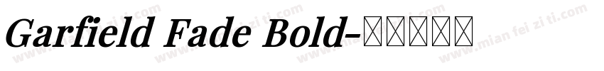 Garfield Fade Bold字体转换